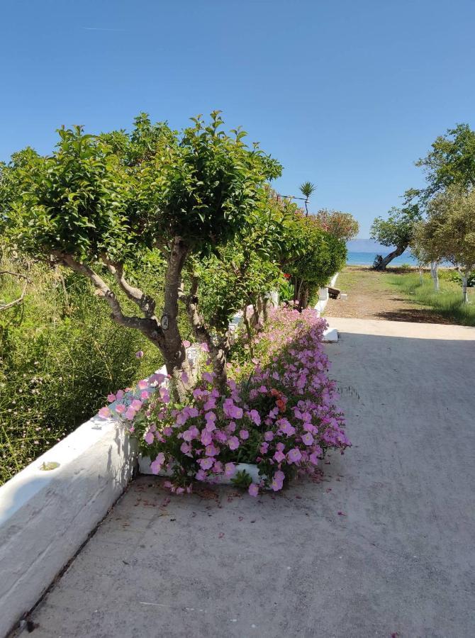Cavos Sunrise Beach Apartments Kavos Luaran gambar
